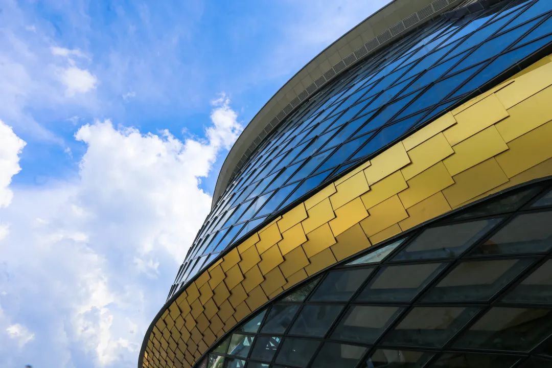 1647175942388713dKh6.jpg 4.jpg